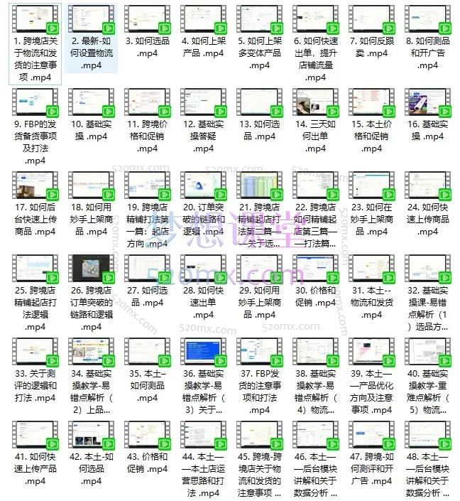 2025-2026俄罗斯跨境电商全流程运营实战课 | OZON/Wildberries平台从0到精通