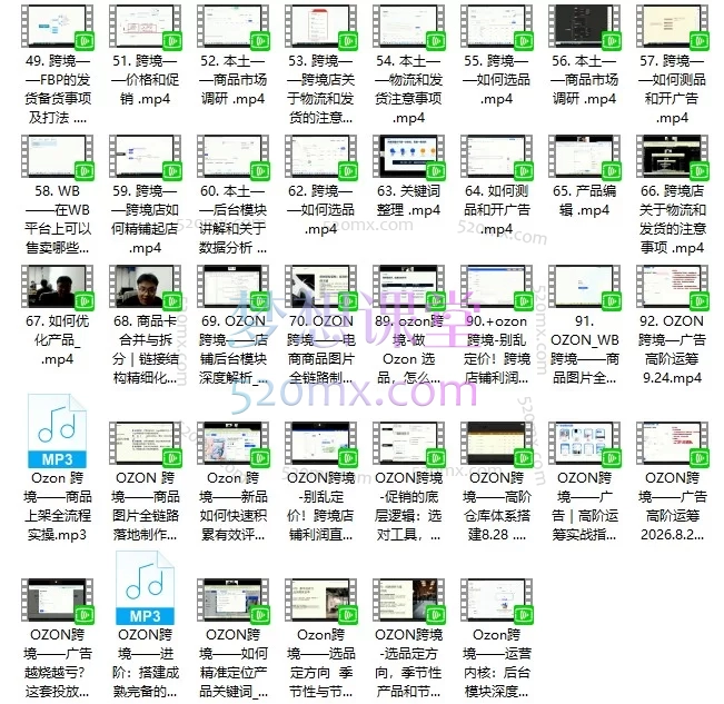 2025-2026俄罗斯跨境电商全流程运营实战课 | OZON/Wildberries平台从0到精通
