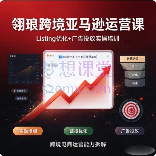 翎琅跨境·亚马逊运营全链路实战手册:链接权重·发货避坑·品牌保护