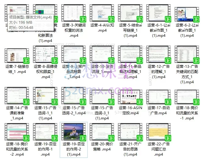 翎琅跨境·亚马逊运营全链路实战手册：链接权重·发货避坑·品牌保护