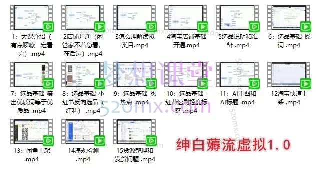 绅白虚拟4.0薅流虚拟插件+低价玩法 | 零基础虚拟电商实战课程