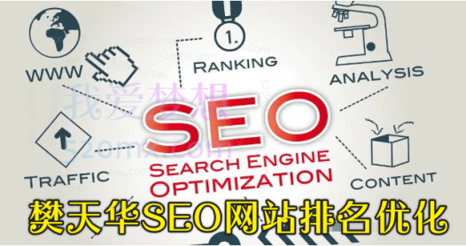 樊天华SEO网站排名优化实战高级技法指南
