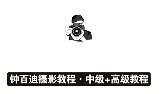 钟百迪:循序渐进学摄影(高级)