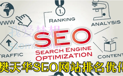 樊天华SEO网站排名优化实战高级技法指南