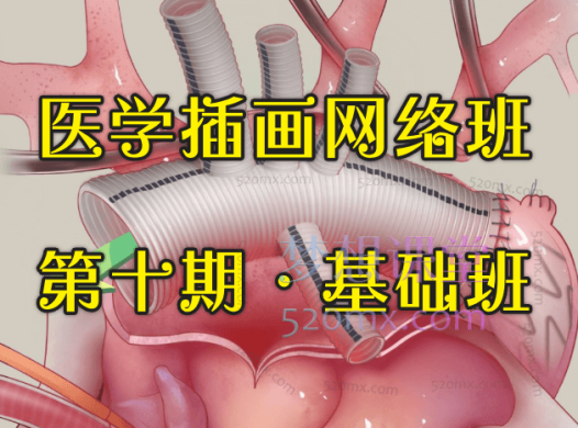 周舒扬:医学插画网络班·第十期·基础班