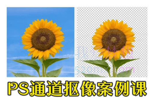 PS通道抠像案例课:再也不怕抠头发丝、半透明