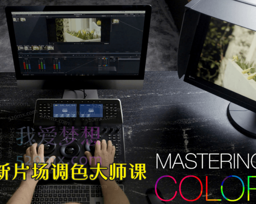新片场调色大师课《8大模块掌握调色技巧》