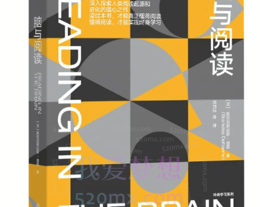 《脑与阅读》精读班，和教育神经科学专家一起，阅读改变大脑