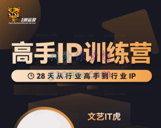 老虎微运营：高手IP训练营