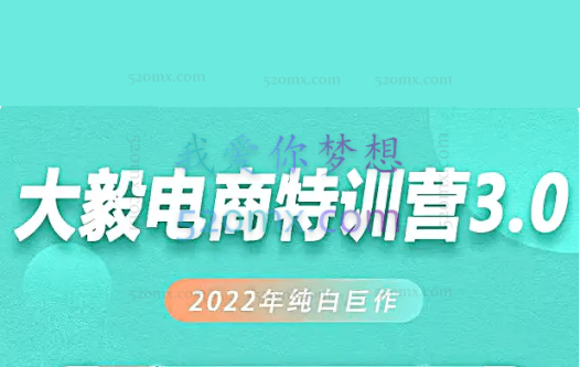 大毅电商·白搜3.0-2022年纯白巨作