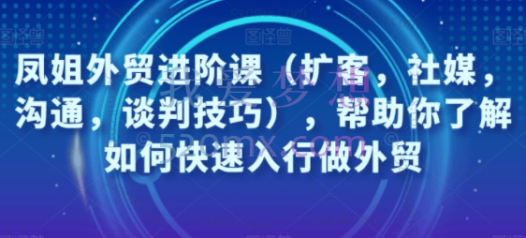 凤姐外贸进阶课（扩客，社媒，沟通，谈判技巧），帮助你了解如何快速入行做外贸