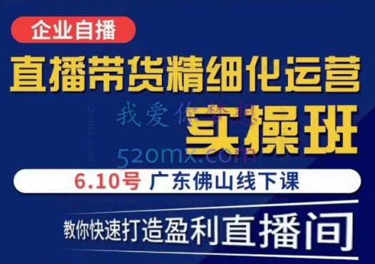 电商掌柜茂隆直播带货精细化运营实操班