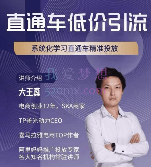 大王真:直通车低价引流课,系统化学习直通车精准投放