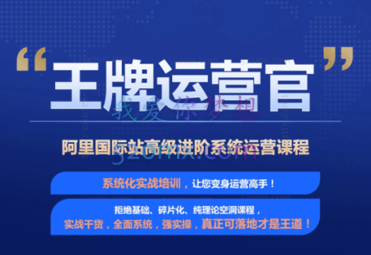 《王牌运营官》阿里巴巴国际站高级进阶系统运营精品课程