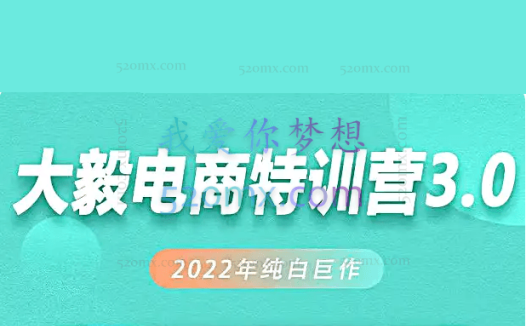 大毅电商·白搜3.0-2022年纯白巨作