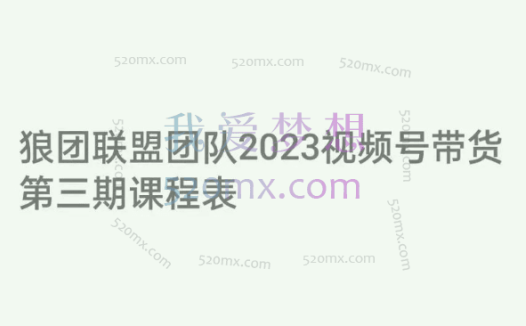 狼团联盟·2023视频号训练营(第三期),手把手带你玩转视频号