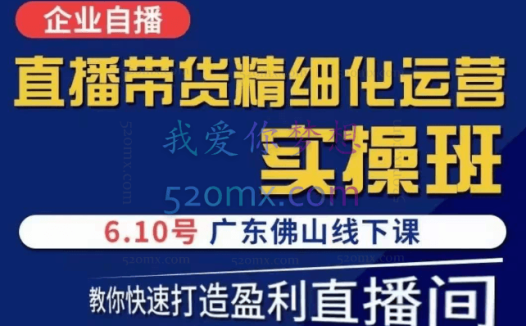 电商掌柜茂隆直播带货精细化运营实操班