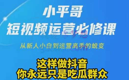 小平哥·180天短视频运营陪跑训练营,价值3980元!