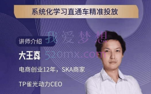 大王真:直通车低价引流课,系统化学习直通车精准投放