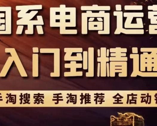 淘系电商入门到精通,手淘搜索，手淘推荐，全店动销 （价值1099元）