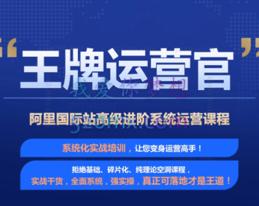 《王牌运营官》阿里巴巴国际站高级进阶系统运营精品课程
