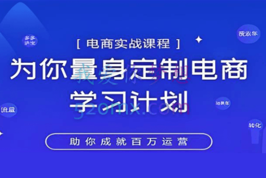 鑫老板·2022淘宝运营实战宝典,价值2999元