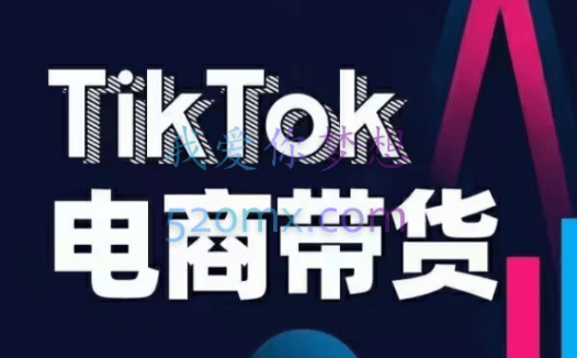 TK增长会·Tiktok零基础变现训练营(第19期+第20期),价值3980元