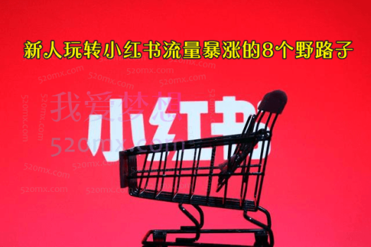 新人玩转小红书流量暴涨的8个野路子