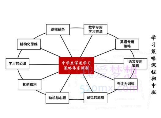 学习策略师:深度学习策略课程(初中班)