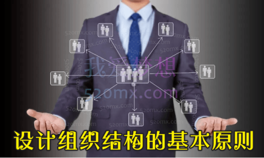 设计组织结构的基本原则