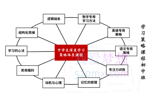 学习策略师：深度学习策略课程（初中班）