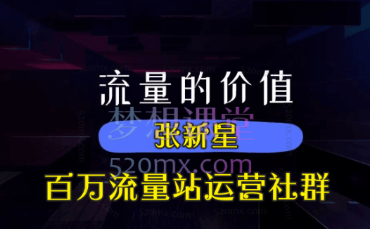 张新星《百万流量站运营社群》