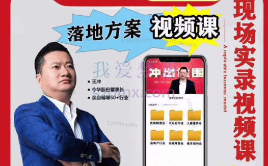 王冲：50个行业现场设计方案50个方案实录商业模式