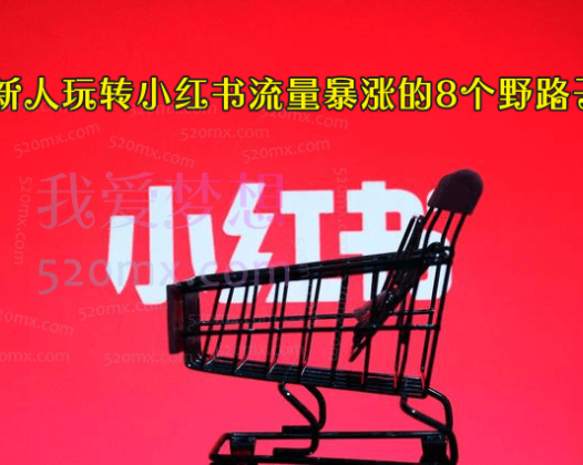 新人玩转小红书流量暴涨的8个野路子