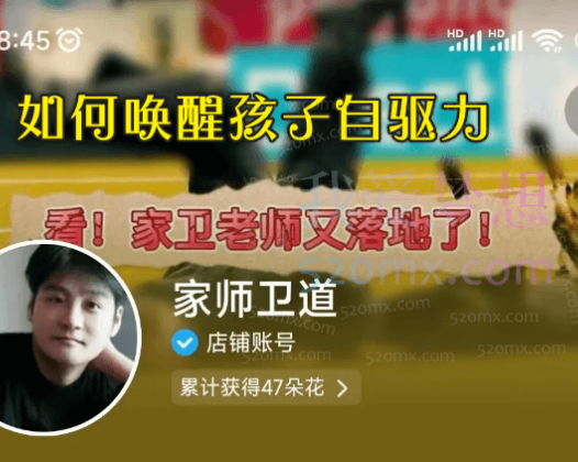 家卫老师-如何唤醒孩子的自驱力