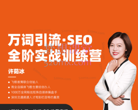 许茹冰·万词引流-SEO全阶实战训练营，0基础入门，快速成为流量高手