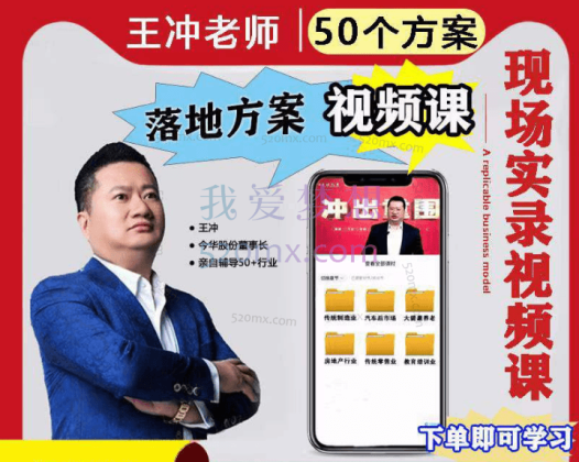 王冲：50个行业现场设计方案50个方案实录商业模式