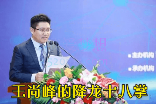 卓越HR成长之路:人力资源总监王尚峰的降龙十八掌