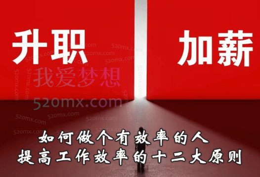 升职加薪攻略：如何做个有效率的人,提高工作效率的十二大原则