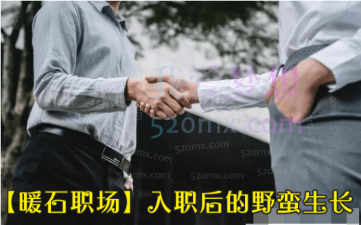 【暖石职场】入职后的野蛮生长