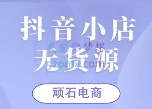 顽石电商：抖音小店无货源项目