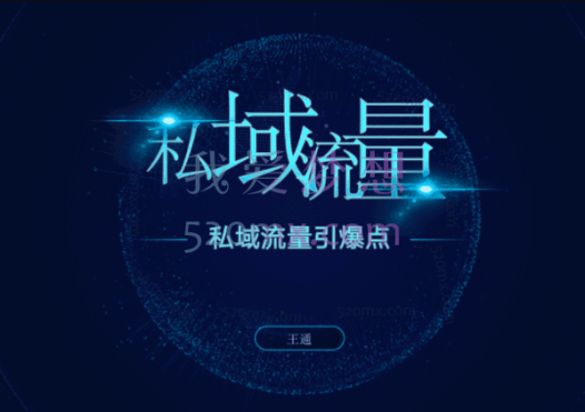 王通《私域流量引爆点》
