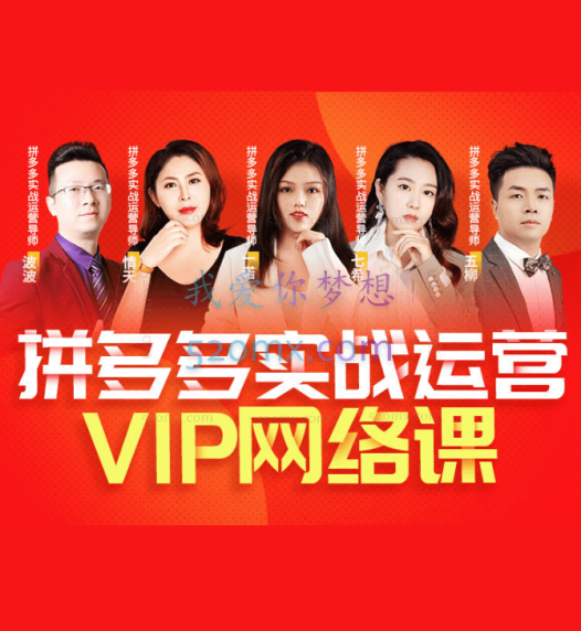 2023年6月推易拼多多VIP全套直播课程(新)