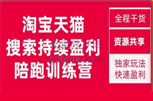 未见【無山】淘宝天猫搜索持续盈利陪跑训练营,独家玩法,快速盈利