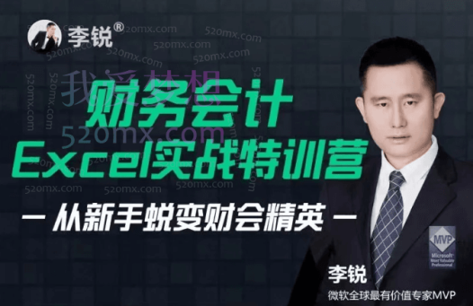 跟李锐学Excel:财务会计Excel实战特训营 | 从新手蜕变财会精英