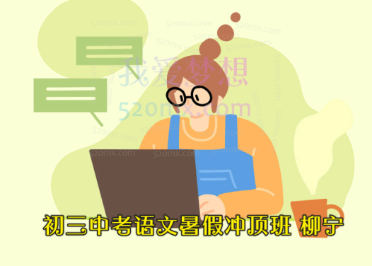 柳宁初三中考语文暑假冲顶班