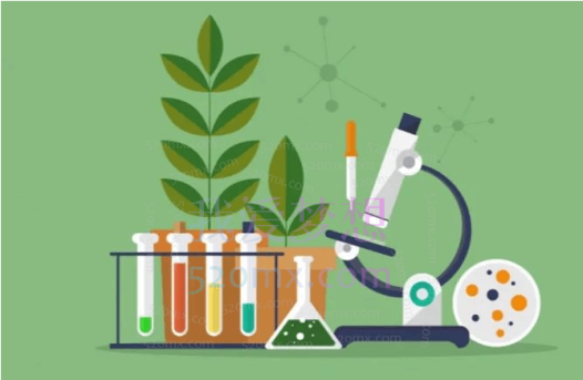 张雨桐初中生物初一生物暑假全国版