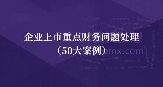 企业上市重点财务问题处理(50大案例)