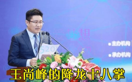 卓越HR成长之路:人力资源总监王尚峰的降龙十八掌