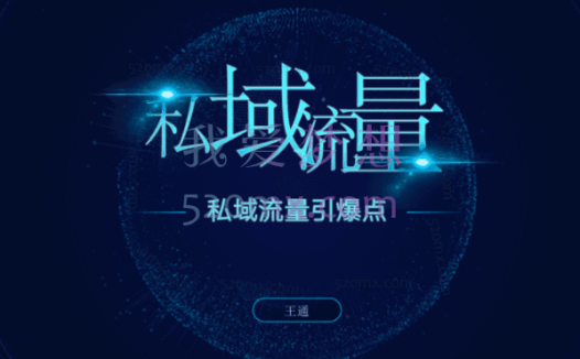 王通《私域流量引爆点》